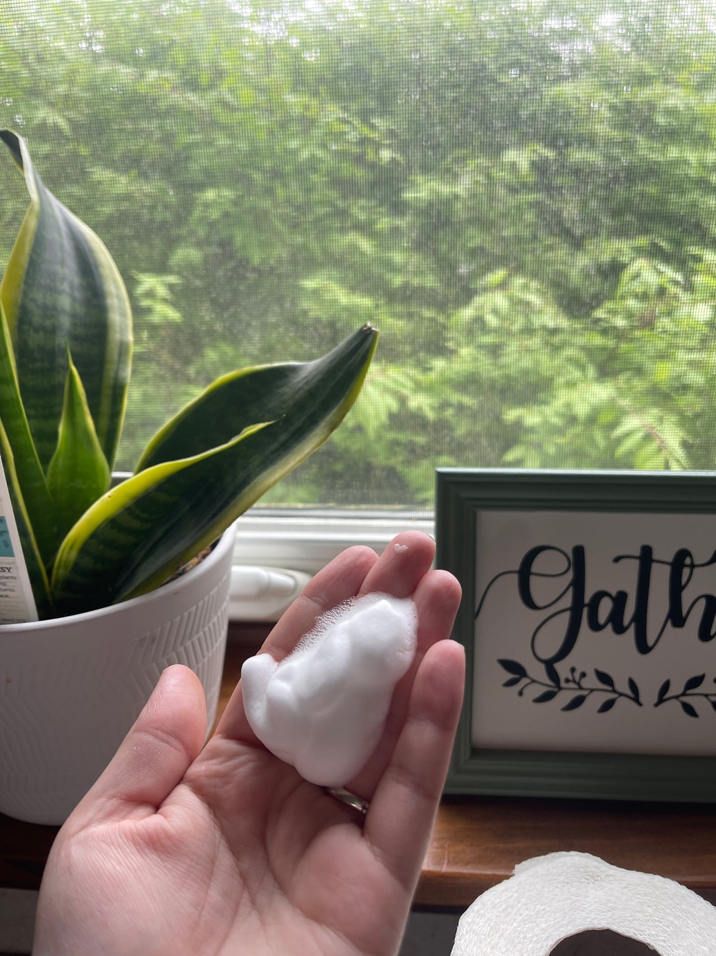 Handmade Foaming Hand Soap